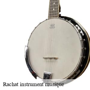 Rachat instrument musique maubec-82500 JD Antiquaire